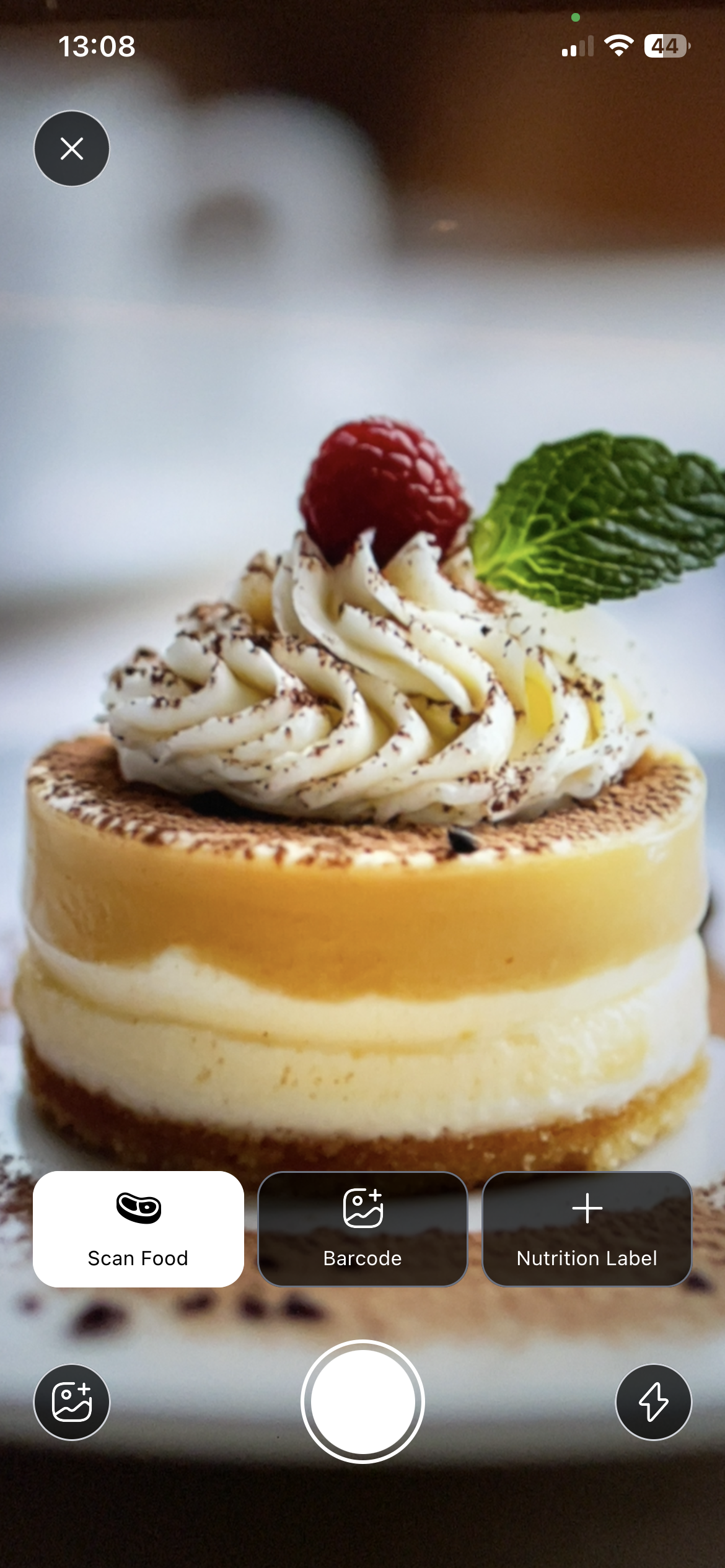 Kcal AI Meal Analysis Screenshot